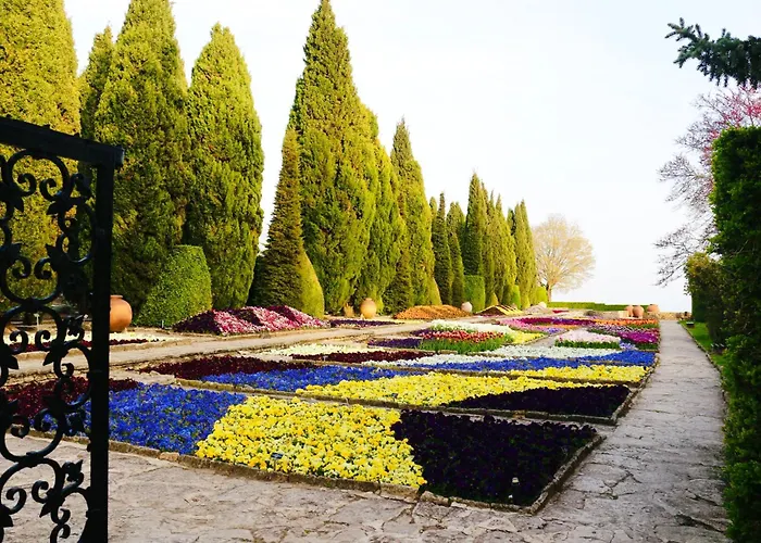 “централ” / *