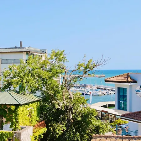 شقة “централ” /